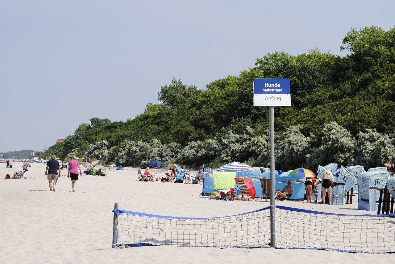 Fewo Schwalbennest Am Meer-Exklusiv-Eigener Strandzugang Ostseebad Kühlungsborn Εξωτερικό φωτογραφία
